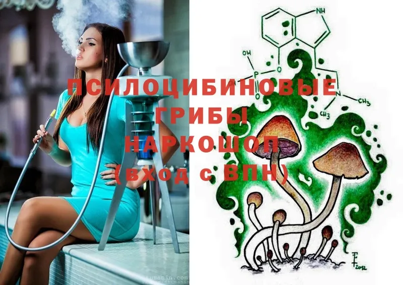 omg   Болхов  Псилоцибиновые грибы Magic Shrooms 